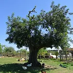 Parco vacanze Centre Algarve Moncarapacho