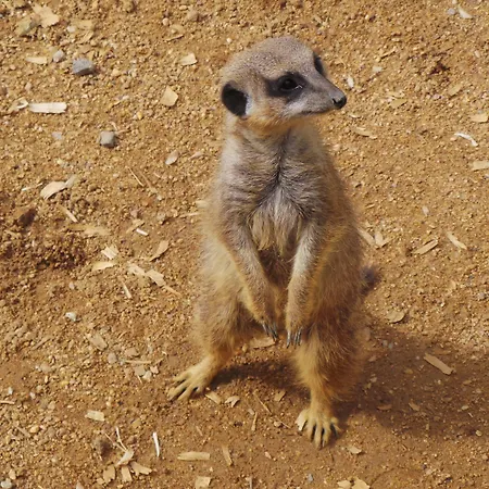 Centre Algarve Ferienpark