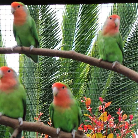 Centre Algarve Holiday park Moncarapacho