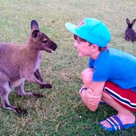 Centre Algarve Holiday park 3*