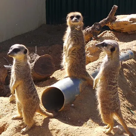 Centre Algarve Ferienpark Moncarapacho