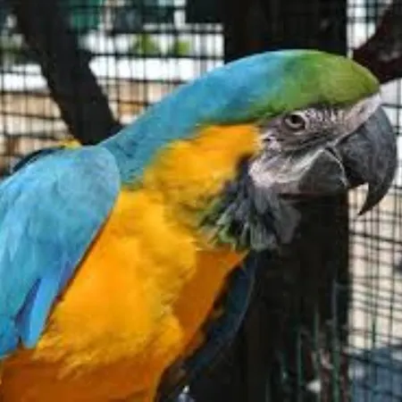 Centre Algarve Village de vacances 3*