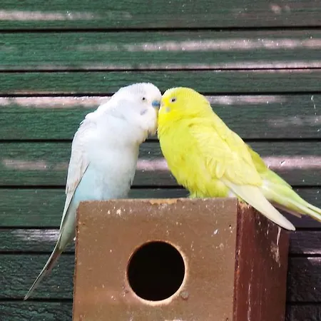 Centre Algarve Village de vacances