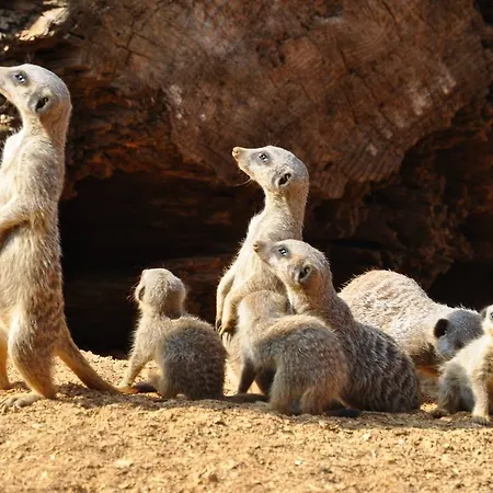 Village de vacances Centre Algarve 3*